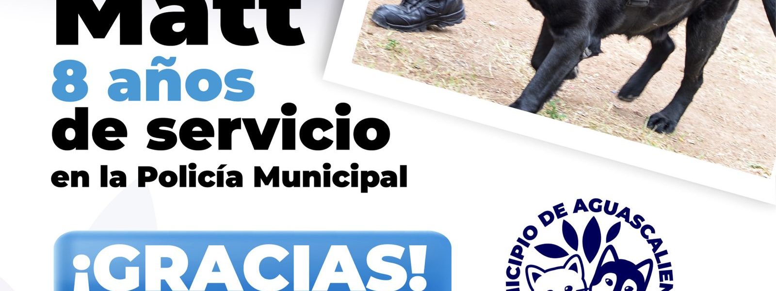 JUBILAN CON HONORES POR AÑOS DE SERVICIO A EJEMPLARES CANINOS Y EQUINOS DE LA POLICÍA MUNICIPAL