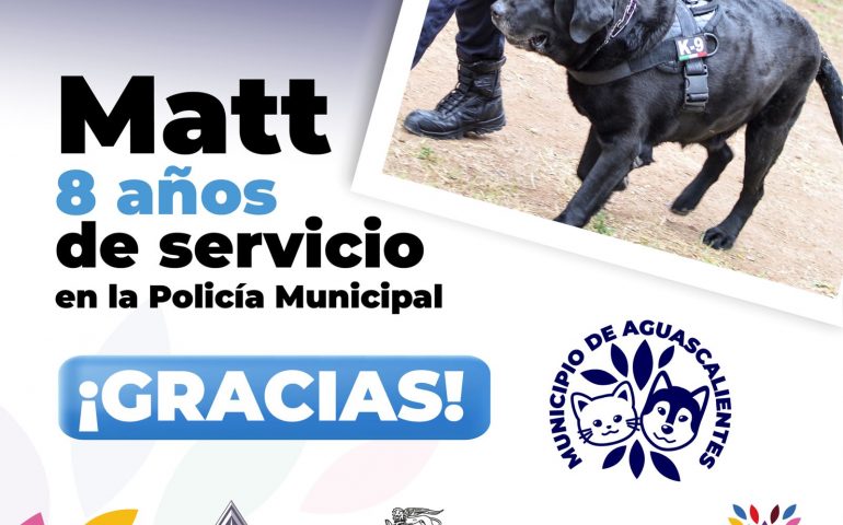 JUBILAN CON HONORES POR AÑOS DE SERVICIO A EJEMPLARES CANINOS Y EQUINOS DE LA POLICÍA MUNICIPAL