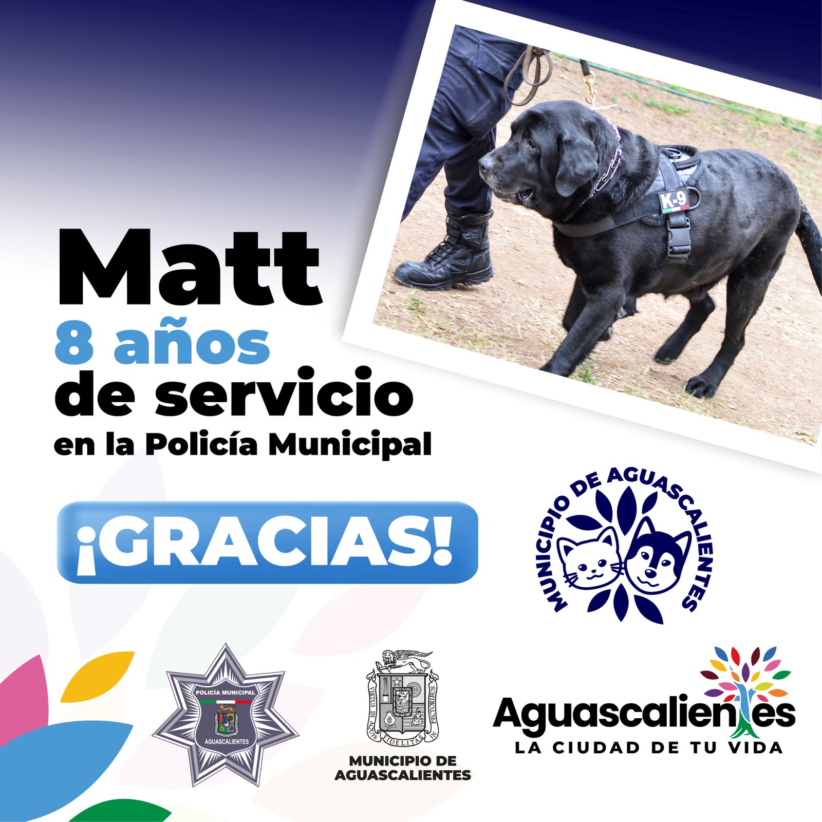 JUBILAN CON HONORES POR AÑOS DE SERVICIO A EJEMPLARES CANINOS Y EQUINOS DE LA POLICÍA MUNICIPAL