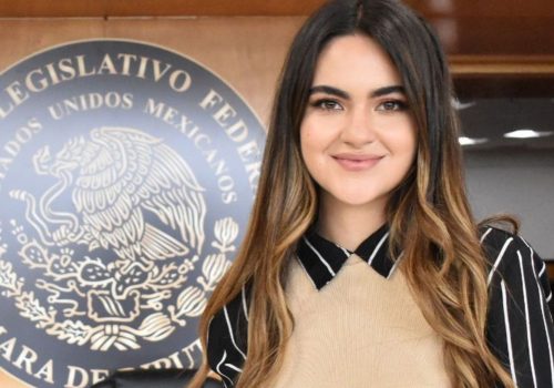 Palo del Tribunal Electoral a Andrea Chávez
