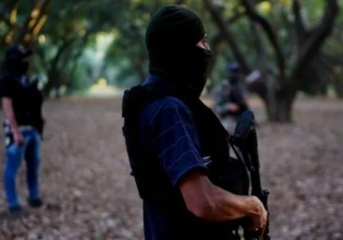 Lideres de los Tlacos y la Familia Michoacana pactan tregua en Guerrero