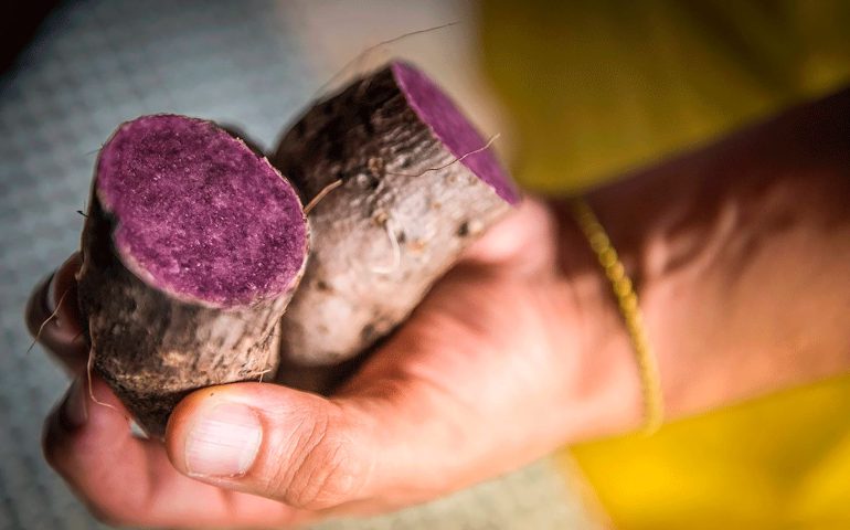 El superalimento que ayuda a eliminar impurezas y regular el azúcar