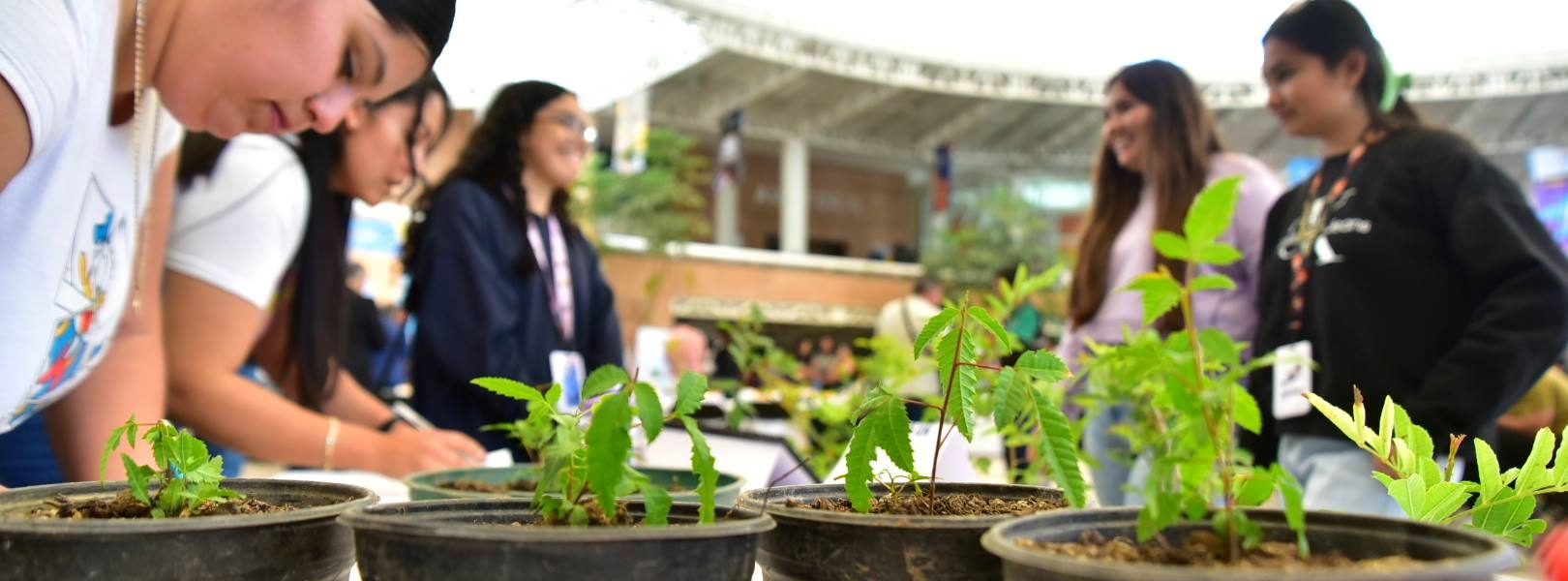 MIAA HACE ALIANZA CON EL ITA A FAVOR DE LA CULTURA DEL AGUA
