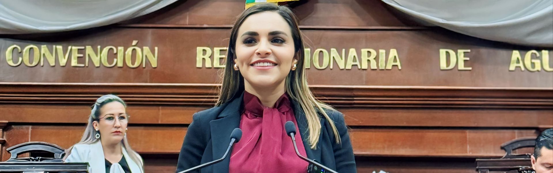 LA DIPUTADA ANA GÓMEZ PRESENTA INICIATIVA CONTRA LAS DETENCIONES ILEGALES POR MOTIVO DE MANIFESTACIONES DE LAS Y LOS CIUDADANOS.