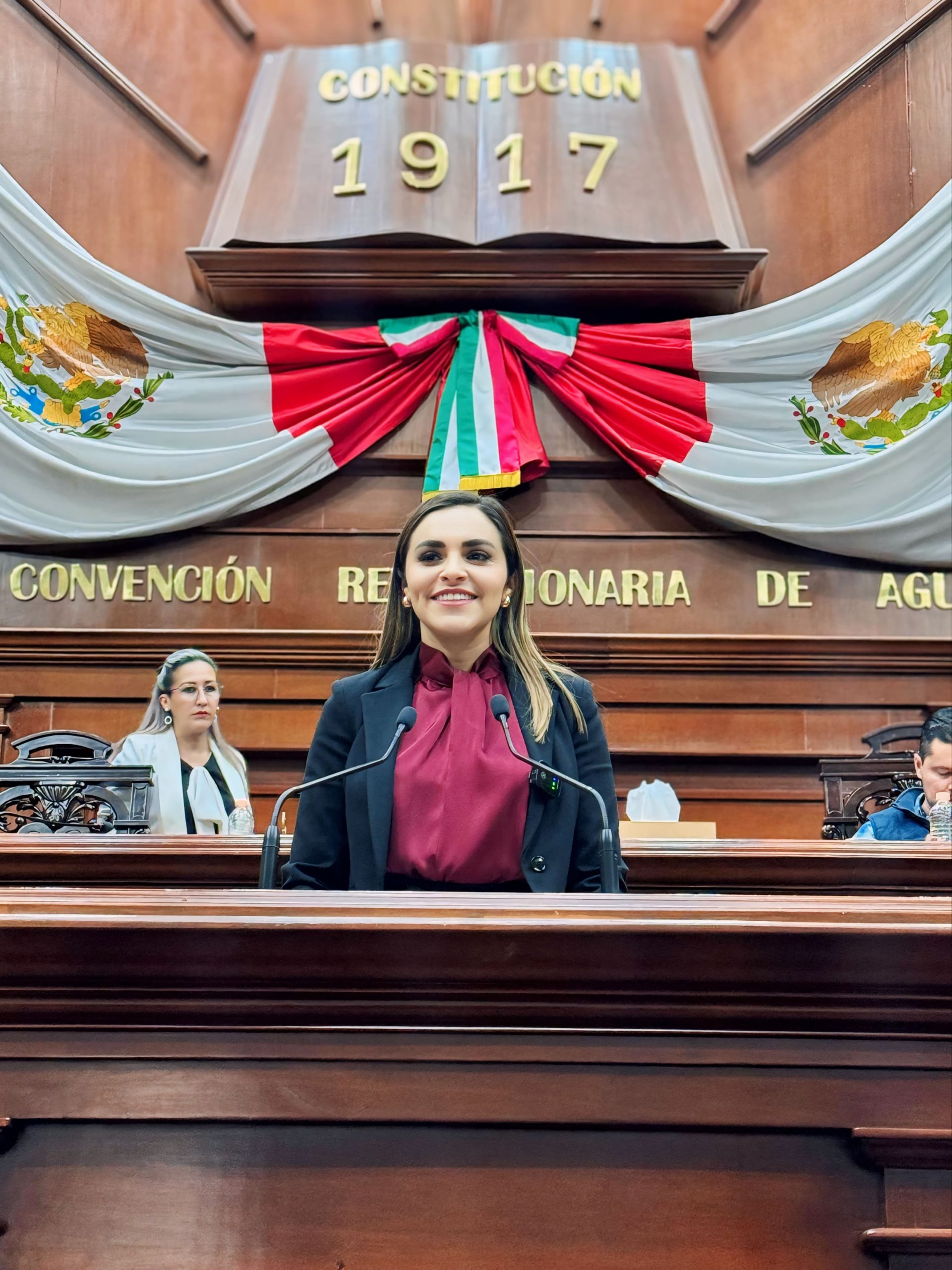 LA DIPUTADA ANA GÓMEZ PRESENTA INICIATIVA CONTRA LAS DETENCIONES ILEGALES POR MOTIVO DE MANIFESTACIONES DE LAS Y LOS CIUDADANOS.