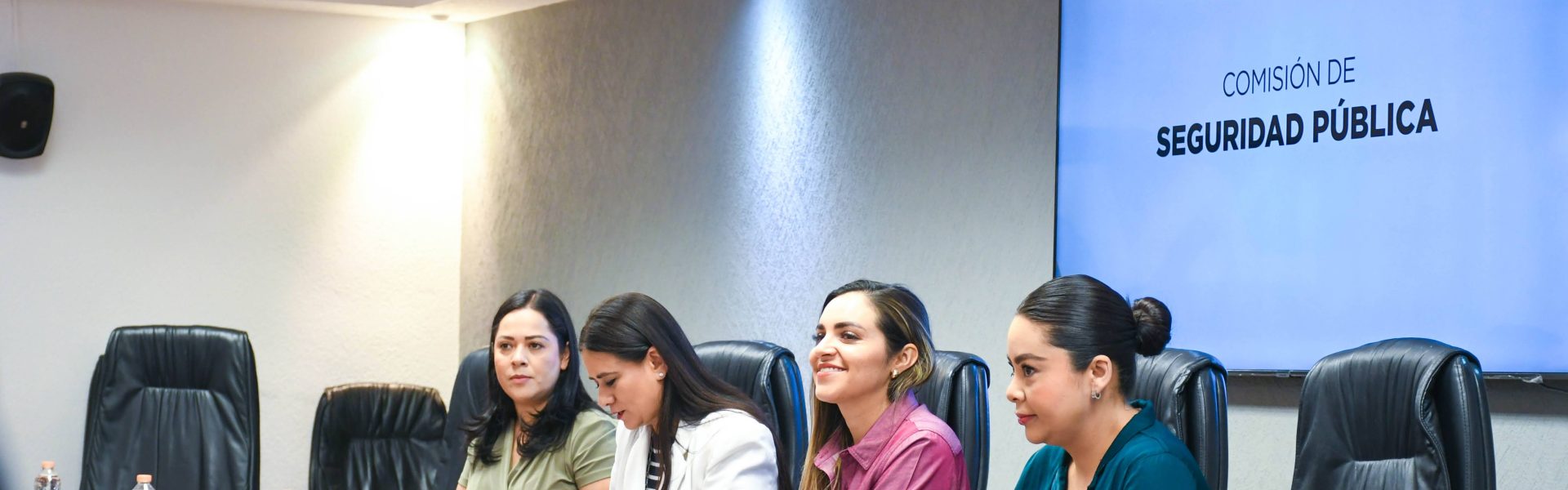 SE RESTRUCTURA LA COMISIÓN DE SEGURIDAD PÚBLICA Y PROTECCIÓN CIVIL DEL CONGRESO DE AGUASCALIENTES