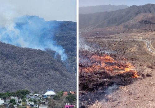 No solo en EEUU, se registran en México más de 50 incendios forestales activos, ve estados
