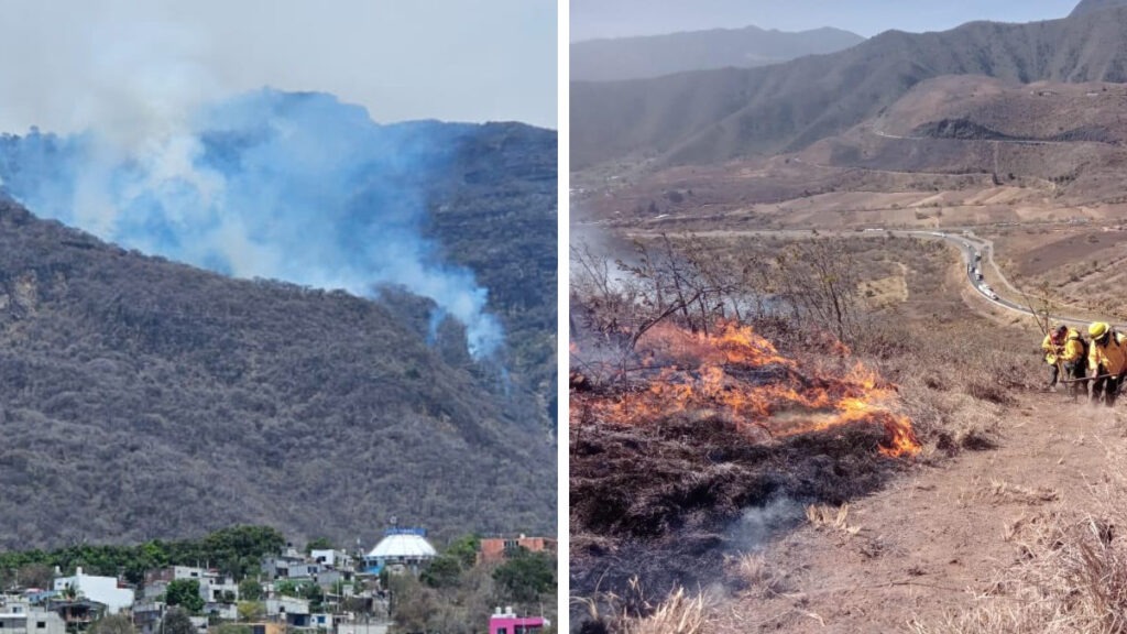No solo en EEUU, se registran en México más de 50 incendios forestales activos, ve estados