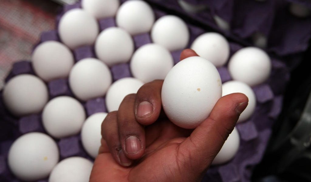 Precio el huevo hasta en 100 pesos en algunos estados