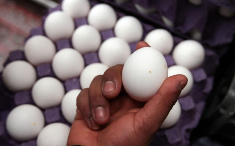 Precio el huevo hasta en 100 pesos en algunos estados