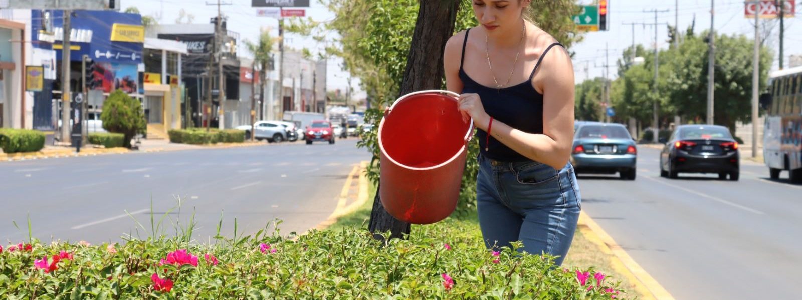 INVITA MUNICIPIO A PARTICIPAR COMO CIUDADANOS AMBIENTALMENTE RESPONSABLES Y ADOPTAR UN ÁRBOL