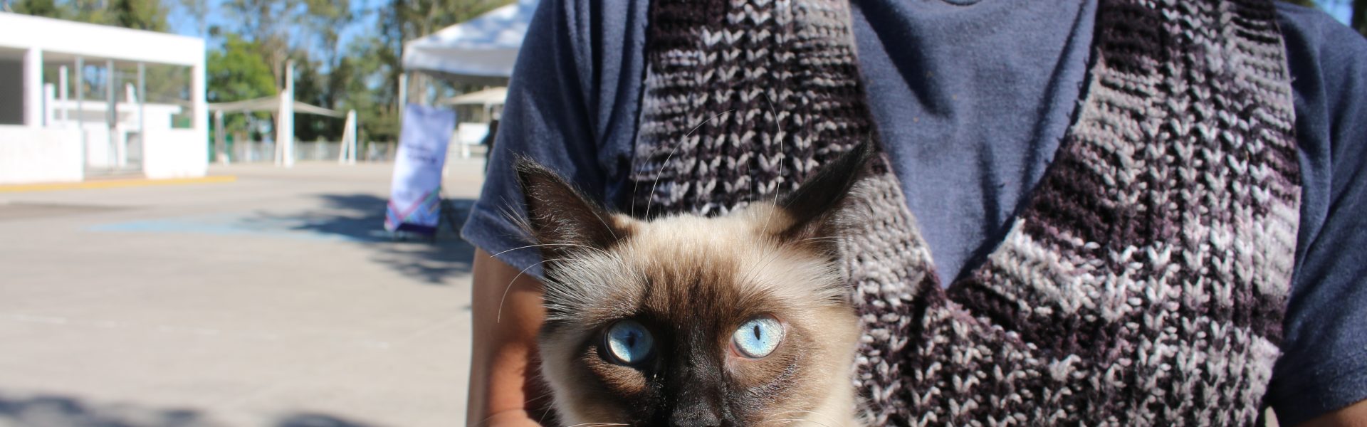 SERVICIOS VETERINARIOS GRATUITOS ESTA SEMANA EN SAN JOSÉ DE GRACIA Y AGUASCALIENTES