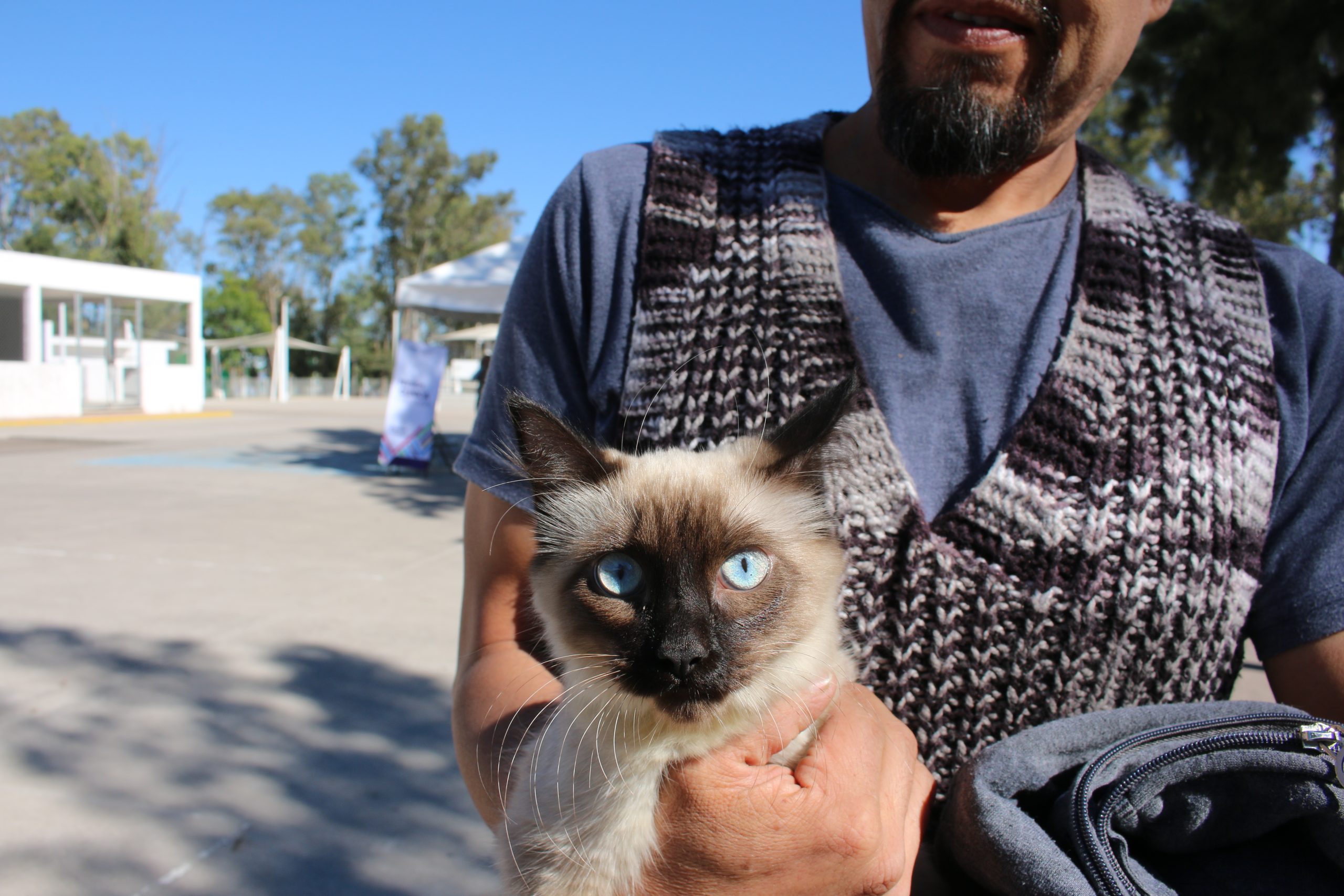 SERVICIOS VETERINARIOS GRATUITOS ESTA SEMANA EN SAN JOSÉ DE GRACIA Y AGUASCALIENTES
