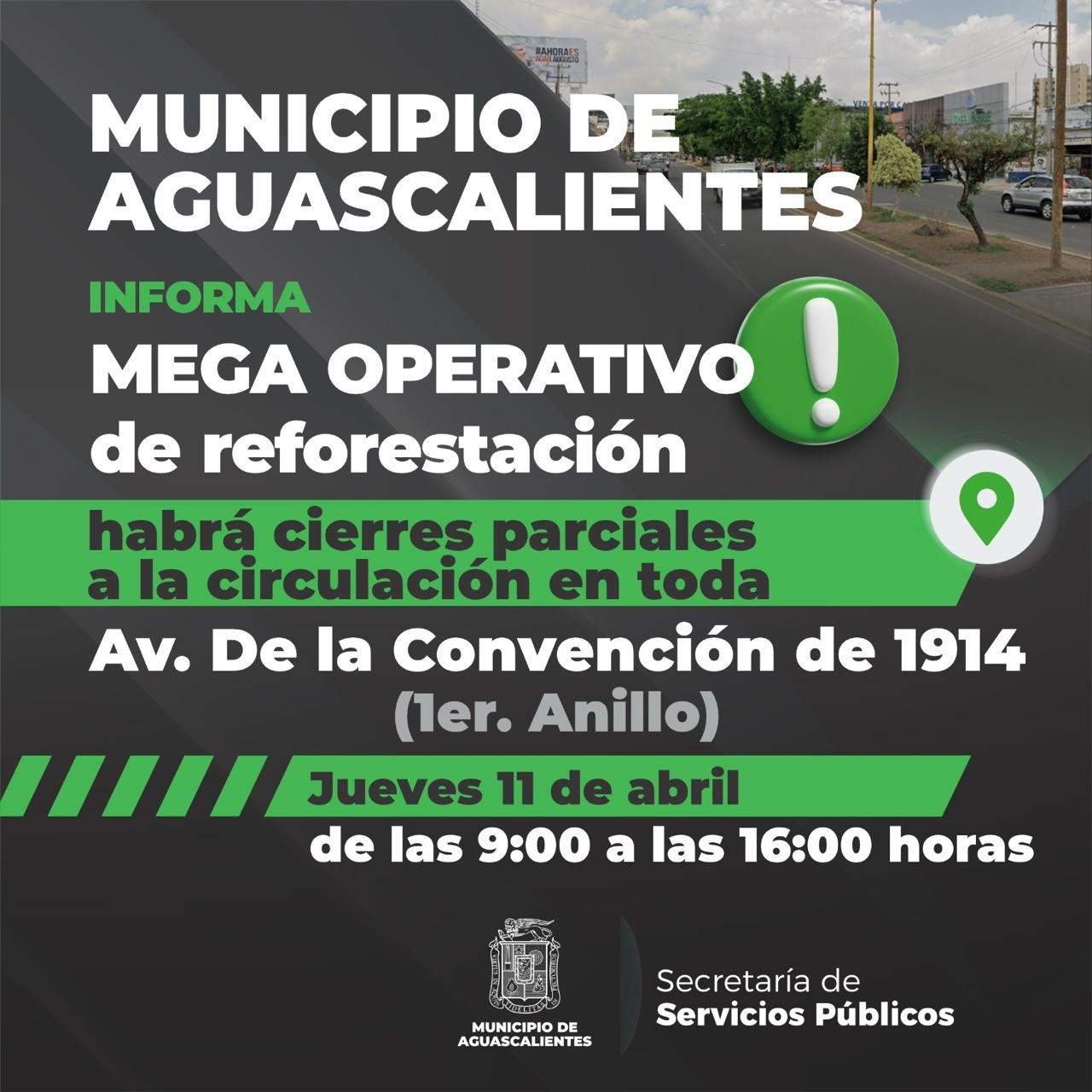 LLAMA SERVICIOS PÚBLICOS A TOMAR PRECAUCIONES POR REFORESTACIÓN EN CAMELLÓN DE PRIMER ANILLO