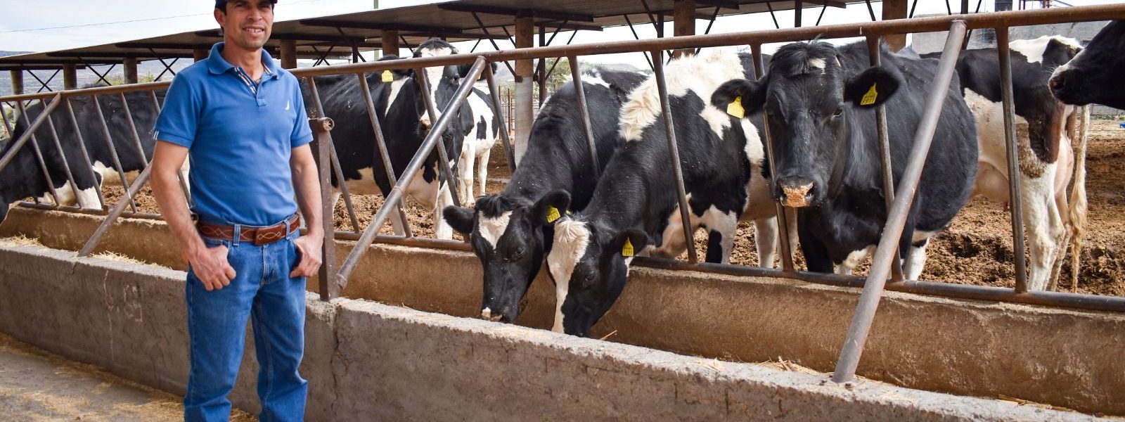 AGUASCALIENTES BUSCA SOLUCIONES PARA PRODUCTORES LECHEROS JUNTO CON LA FEDERACIÓN