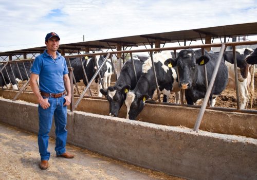 AGUASCALIENTES BUSCA SOLUCIONES PARA PRODUCTORES LECHEROS JUNTO CON LA FEDERACIÓN