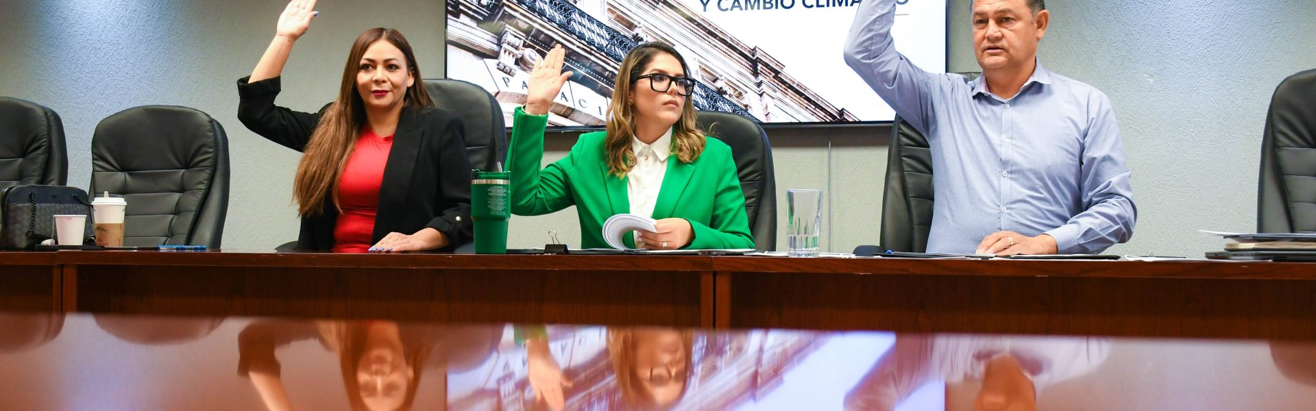 COMISIÓN DE MEDIO AMBIENTE APRUEBA REFORMAS A TRES ORDENAMIENTOS