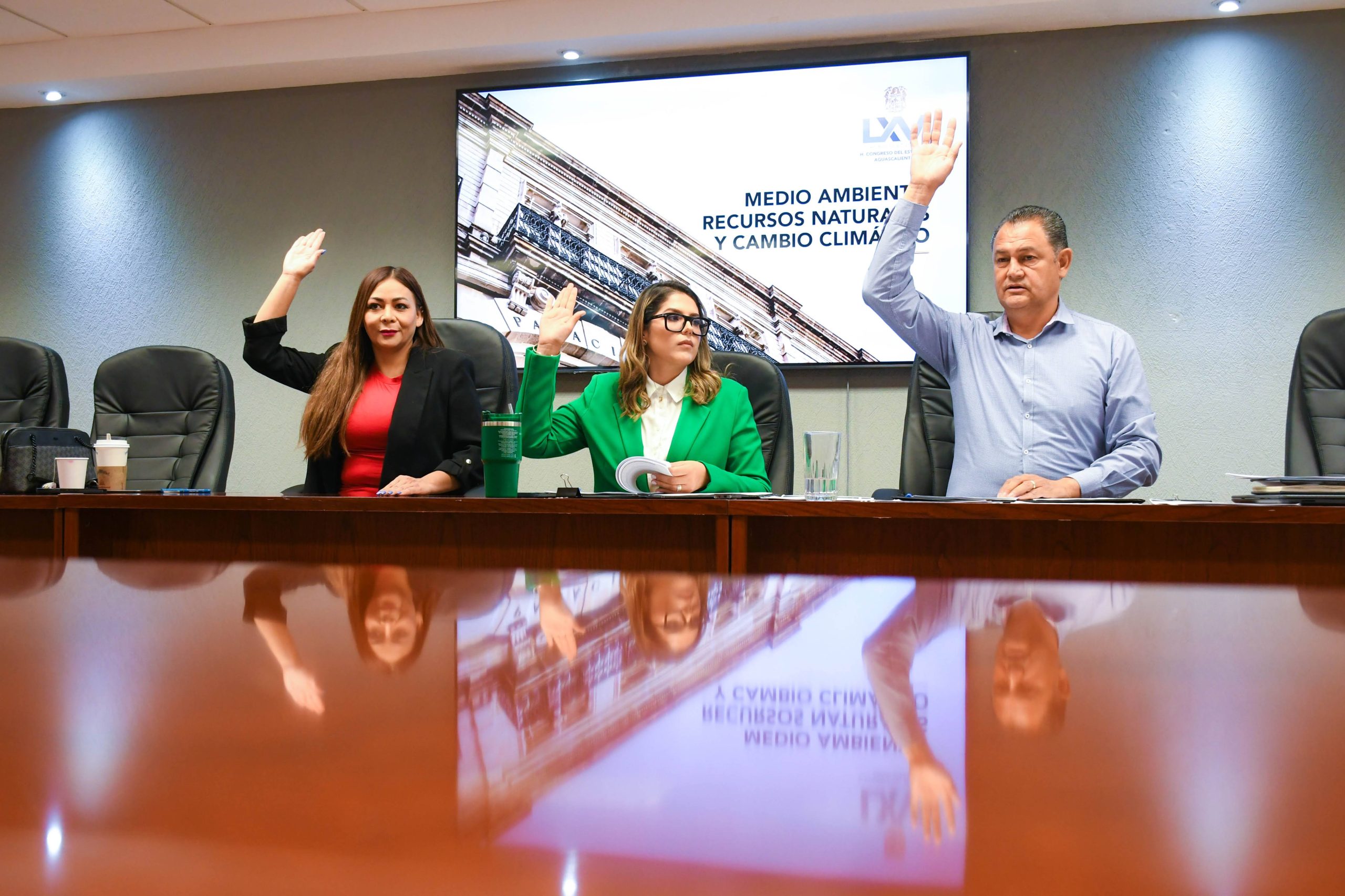 COMISIÓN DE MEDIO AMBIENTE APRUEBA REFORMAS A TRES ORDENAMIENTOS