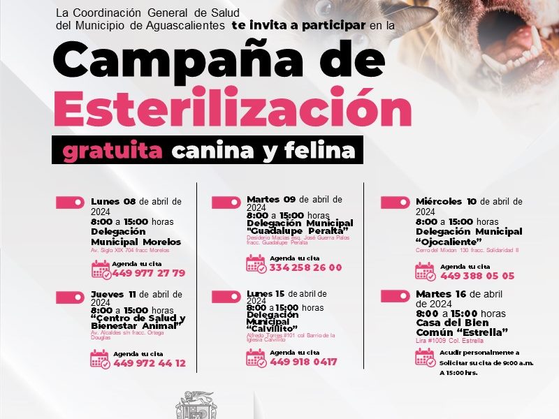 INVITA SALUD MUNICIPAL A LAS CAMPAÑAS DE ESTERILIZACIÓN GRATUITAS PARA CANINOS Y FELINOS