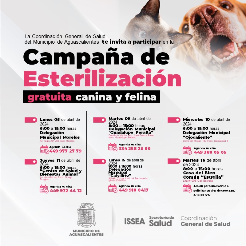 INVITA SALUD MUNICIPAL A LAS CAMPAÑAS DE ESTERILIZACIÓN GRATUITAS PARA CANINOS Y FELINOS
