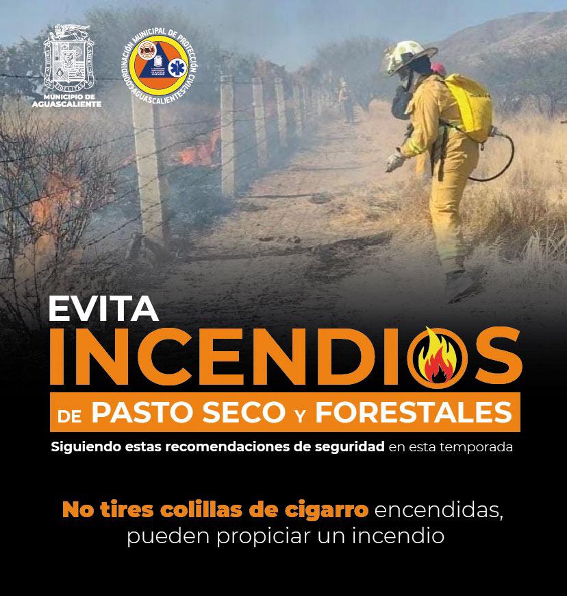 REITERA PROTECCIÓN CIVIL MUNICIPAL LLAMADO A SEGUIR MEDIDAS DE PREVENCIÓN DE INCENDIOS FORESTALES Y DE PASTO SECO