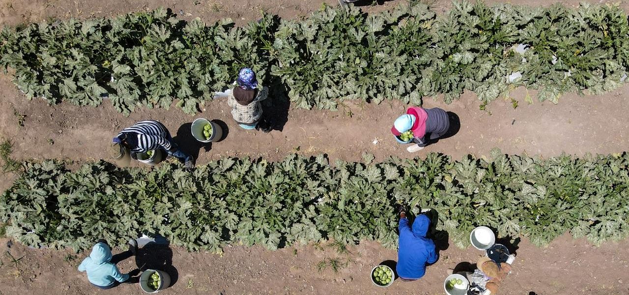 TERE JIMÉNEZ IMPULSA EL DESARROLLO RURAL EN APOYO A PEQUEÑOS PRODUCTORES