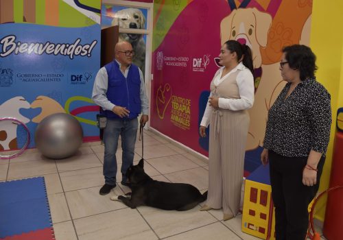 DIF ESTATAL ABRE CENTRO DE TERAPIA ASISTIDA CON ANIMALES