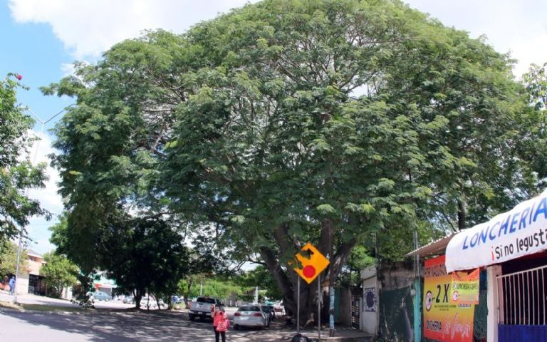 Narcos cobran hasta la sombra en Tamaulipas, así es como extorsionan