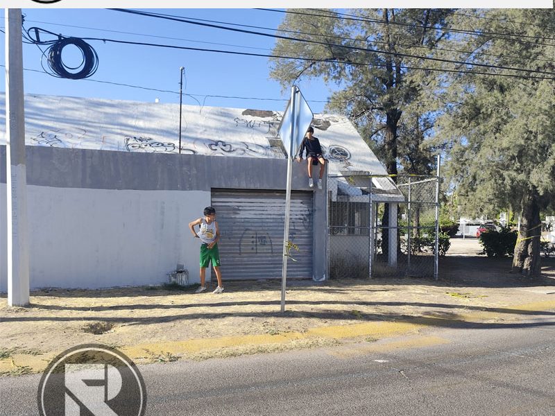 Critica Grafica: Desde jovenes se inician