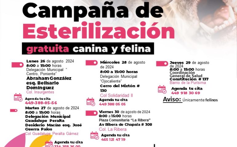 ANUNCIA MUNICIPIO NUEVAS FECHAS DE LA CAMPAÑA DE ESTERILIZACIÓN GRATUITA CANINA Y FELINA