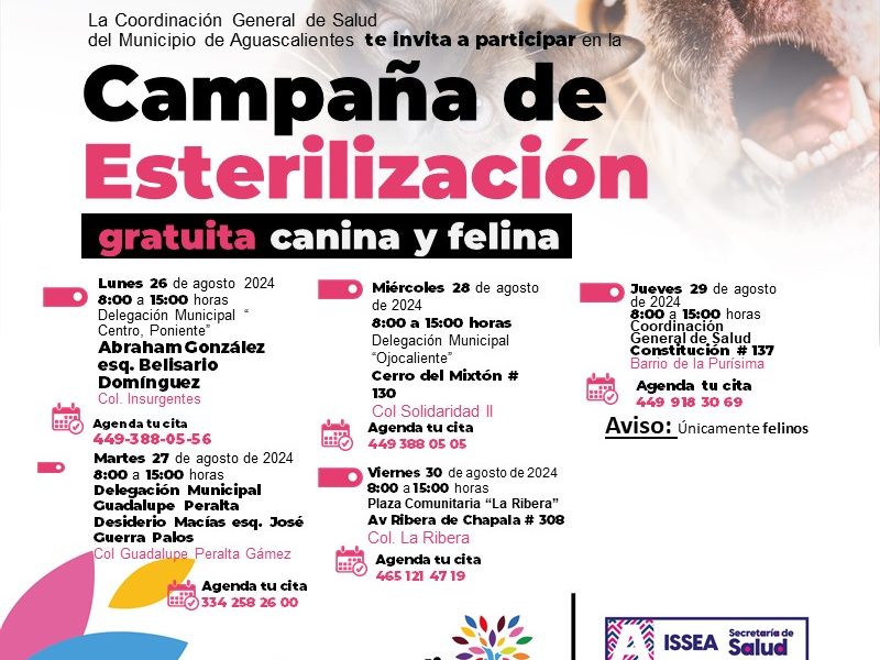 ANUNCIA MUNICIPIO NUEVAS FECHAS DE LA CAMPAÑA DE ESTERILIZACIÓN GRATUITA CANINA Y FELINA