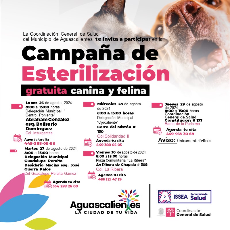 ANUNCIA MUNICIPIO NUEVAS FECHAS DE LA CAMPAÑA DE ESTERILIZACIÓN GRATUITA CANINA Y FELINA