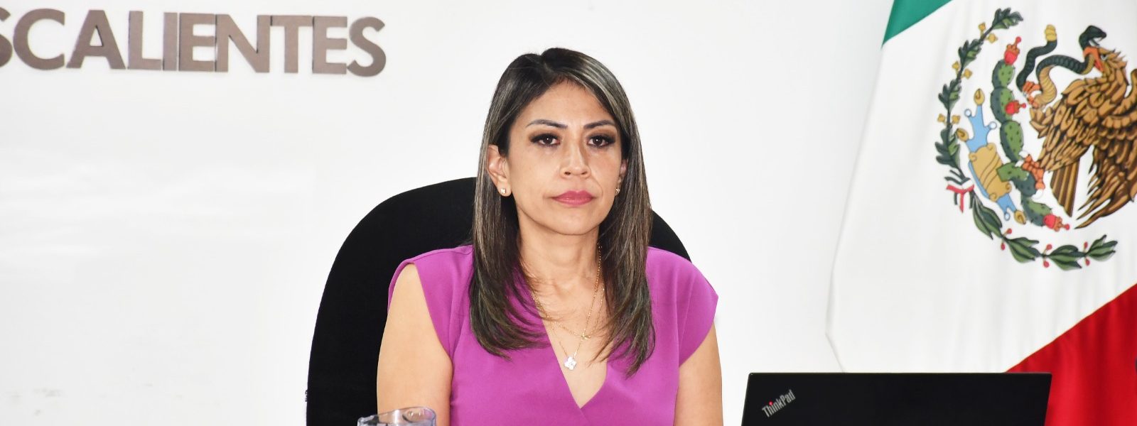 Aprueba Consejo General proyecto de presupuesto del IEE para 2025