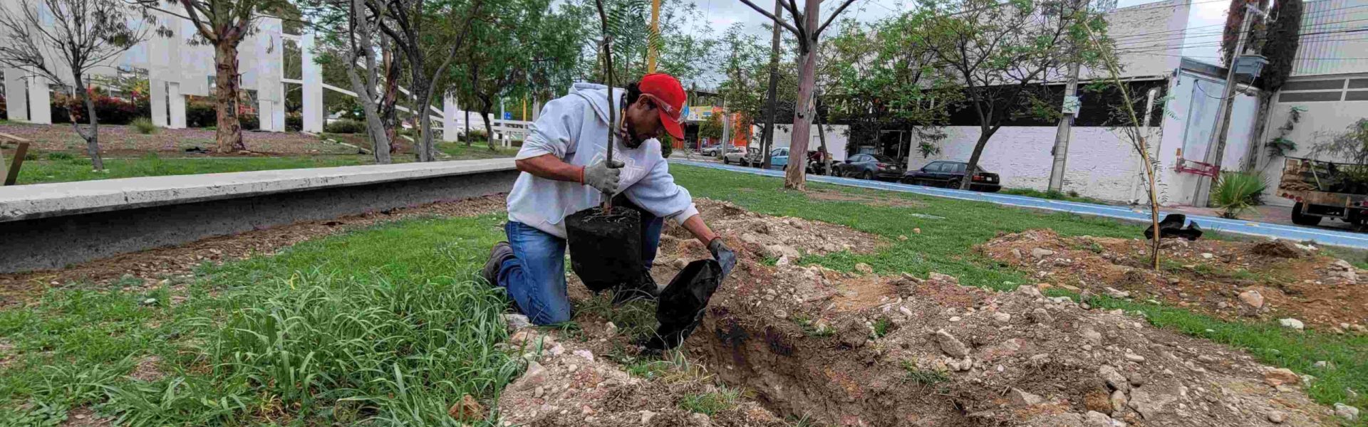 EMPRESAS SUMAN ESFUERZOS CON EL MUNICIPIO EN CUIDADOS DE ÁREAS ARBORIZADAS
