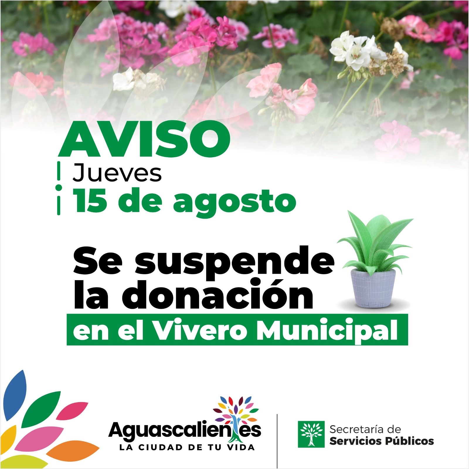 INFORMA SECRETARÍA DE SERVICIOS PÚBLICOS QUE ESTE 15 DE AGOSTO NO HABRÁ DONACIÓN DE PLANTAS EN EL VIVERO MUNICIPAL