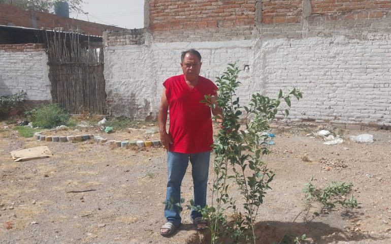 LANZA JESÚS MARÍA CAMPAÑA PERMANENTE DE DONACIÓN DE ÁRBOLES PARA FOMENTAR LA SOSTENIBILIDAD AMBIENTAL