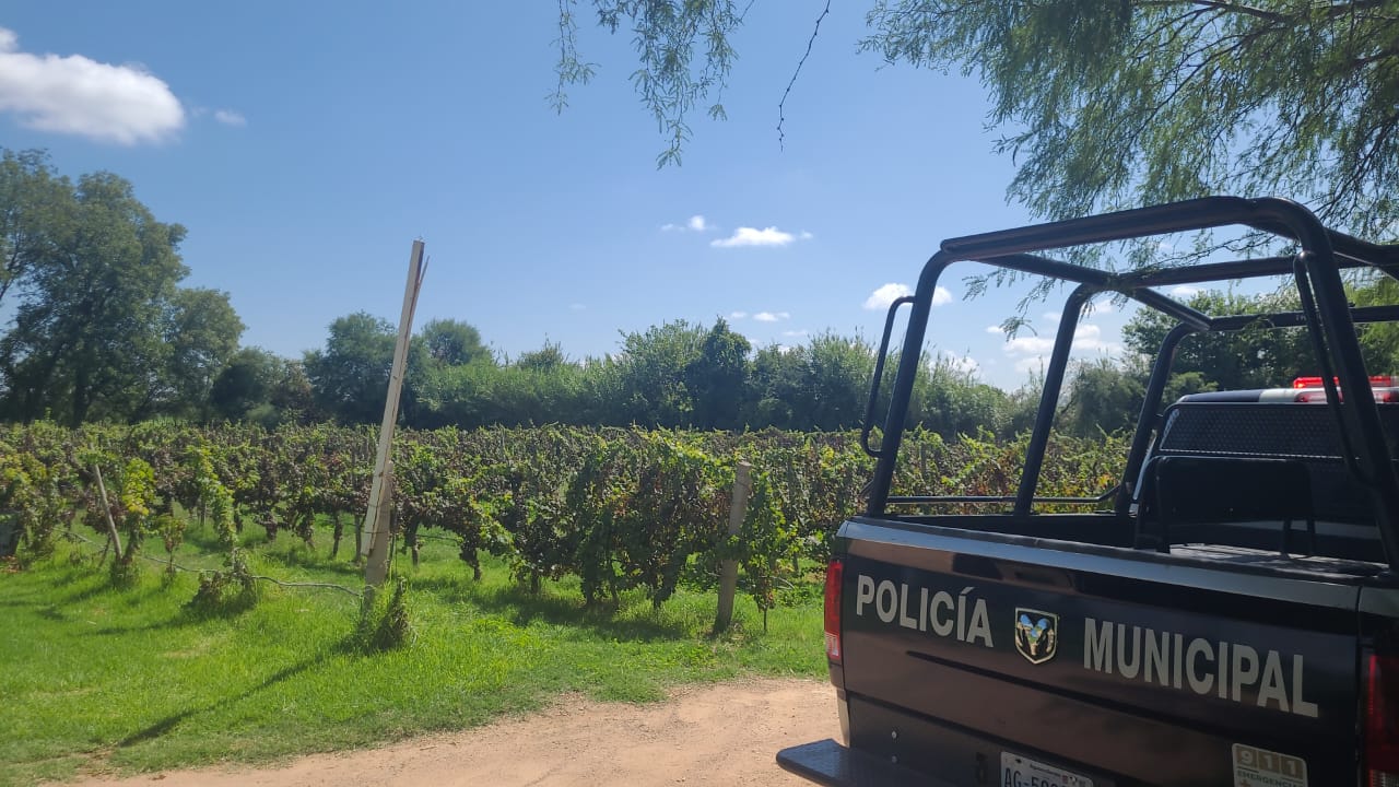 Realizan operativos de vigilancia en las zonas vinícolas de la entidad