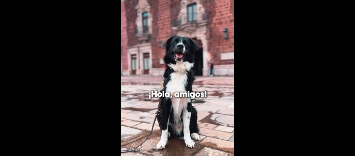 SÚMATE AL CROQUETÓN 2024
