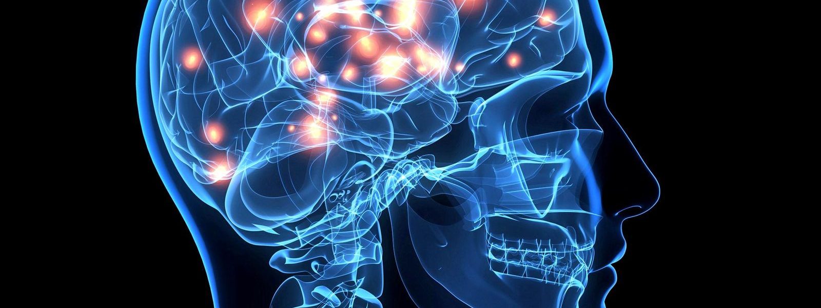 Estudio revela que el cerebro humano es cada vez más grande