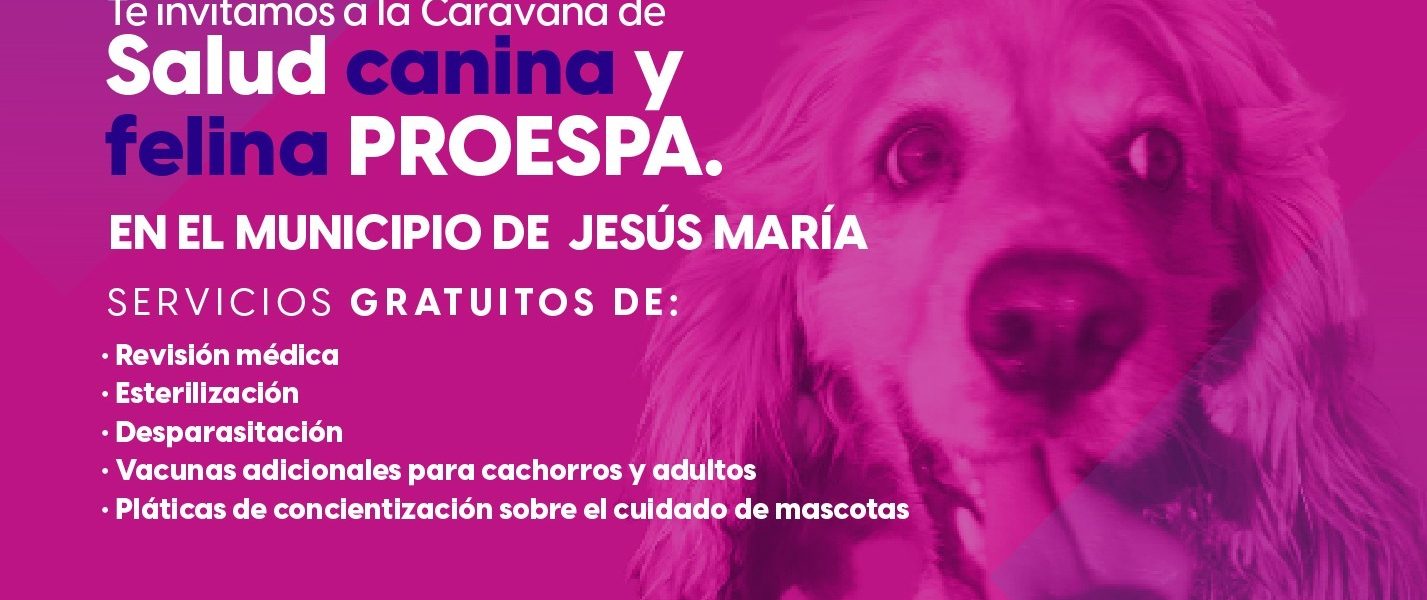 ESTE VIERNES, SERVICIOS VETERINARIOS, ESTERILIZACIONES Y VACUNAS GRATUITAS EN MARAVILLAS
