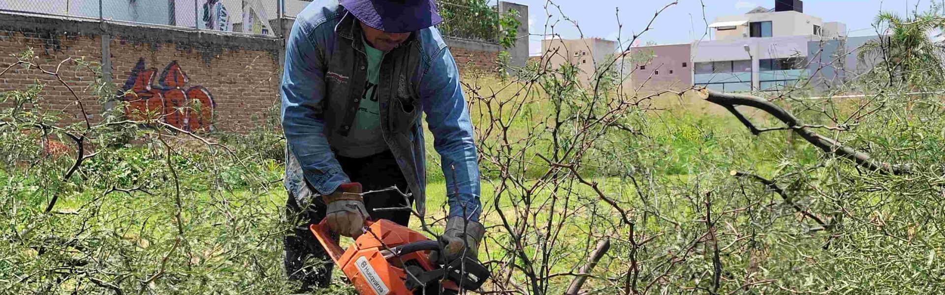 AUMENTA MUNICIPIO ATENCIÓN A REPORTES DE RAMAS CAÍDAS POR LLUVIAS