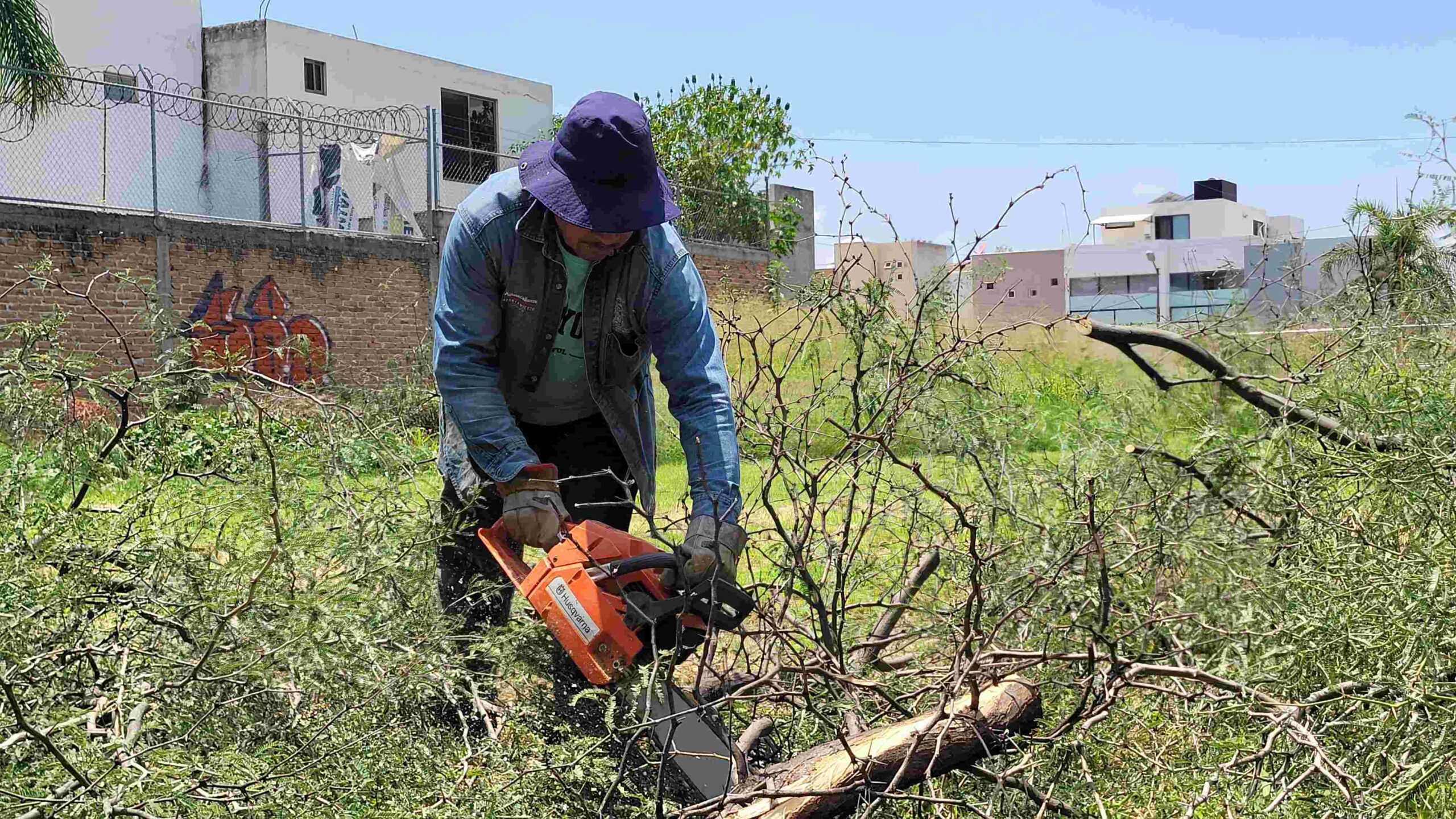 AUMENTA MUNICIPIO ATENCIÓN A REPORTES DE RAMAS CAÍDAS POR LLUVIAS