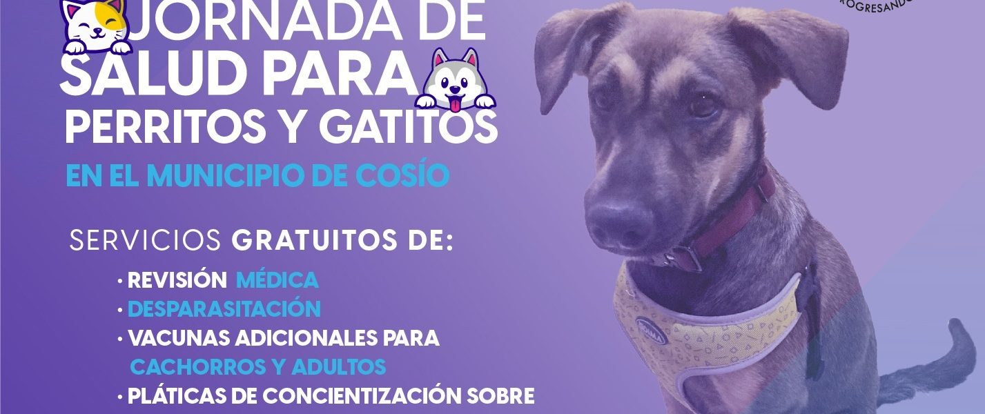 ESTE VIERNES LLEGAN SERVICIOS VETERINARIOS GRATUITOS HASTA REFUGIO DE LA PROVIDENCIA, EN COSÍO