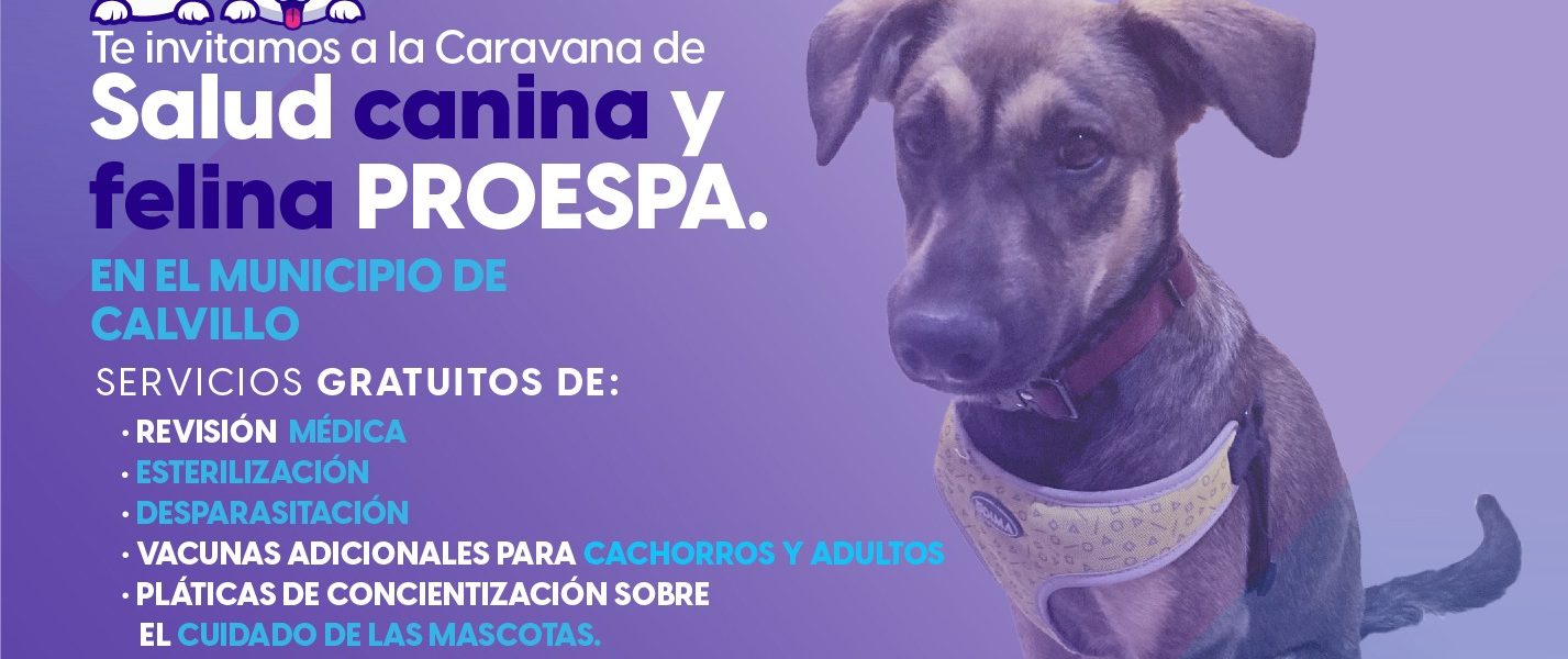 ESTE VIERNES, ATENCIÓN VETERINARIA GRATUITA PARA TU MASCOTA EN CALVILLO