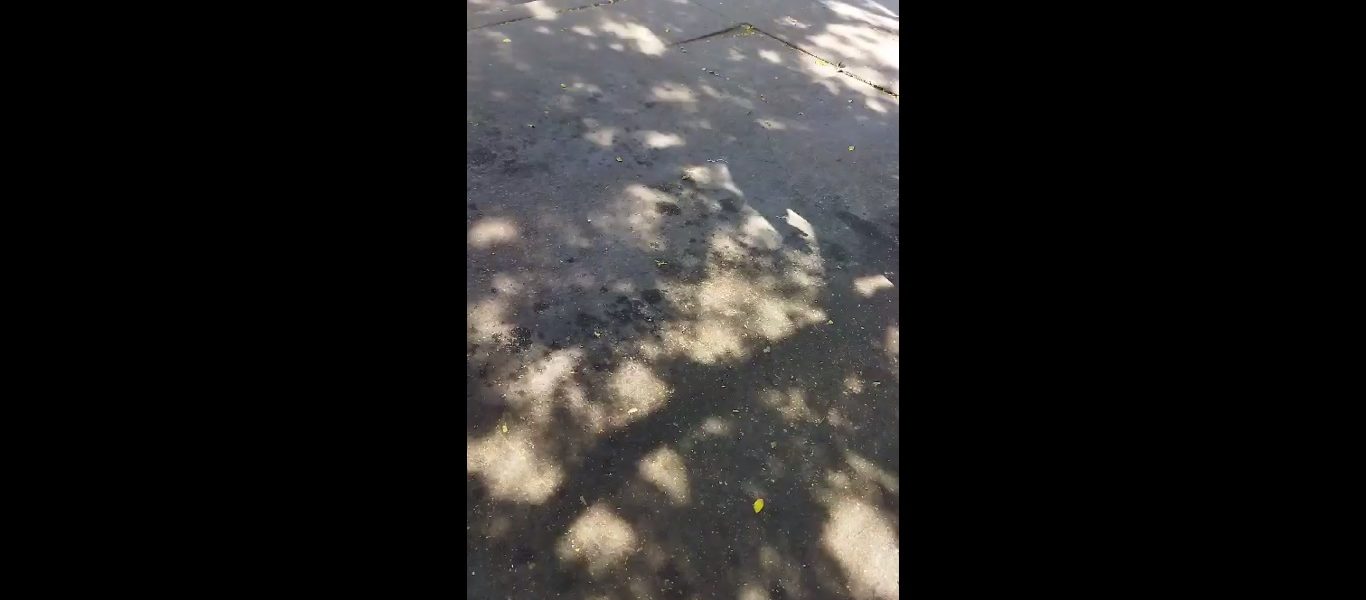 Video Impactante: Ataque Armado a Grupo de Manifestantes en Chilpancingo deja Dos Muertos y Cuatro Heridos.