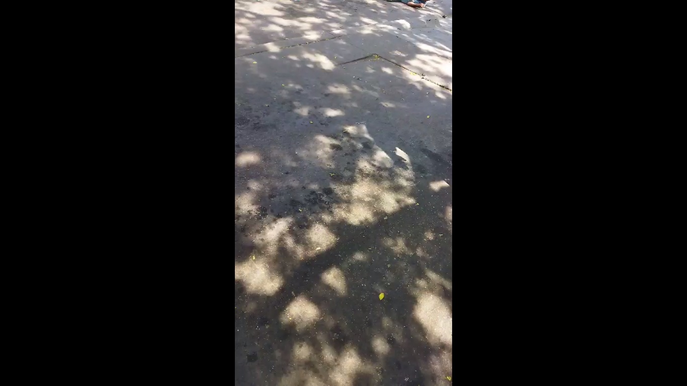 Video Impactante: Ataque Armado a Grupo de Manifestantes en Chilpancingo deja Dos Muertos y Cuatro Heridos.