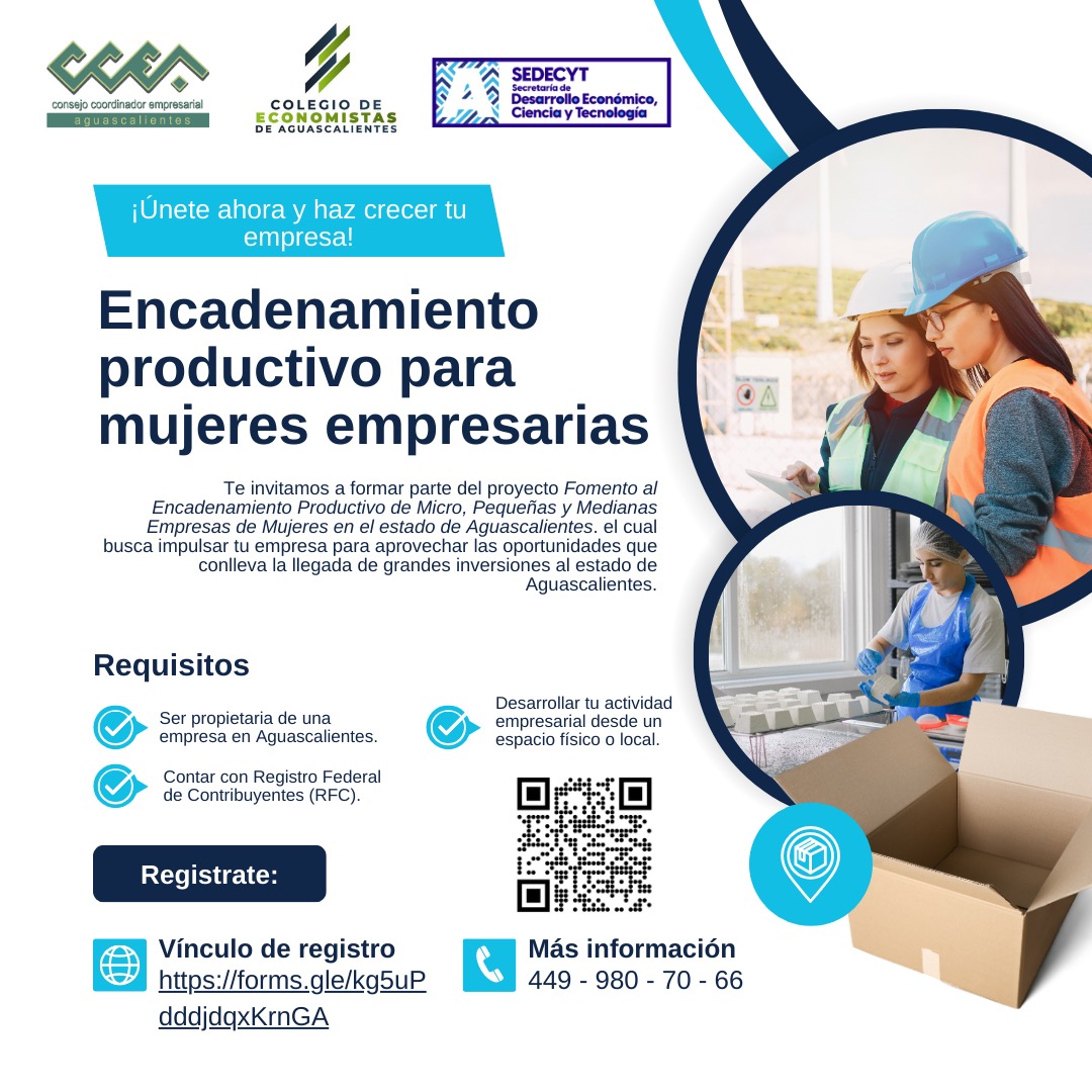 ¡Participa en el Proyecto de Encadenamiento Productivo para MIPYMES de Mujeres en Aguascalientes!