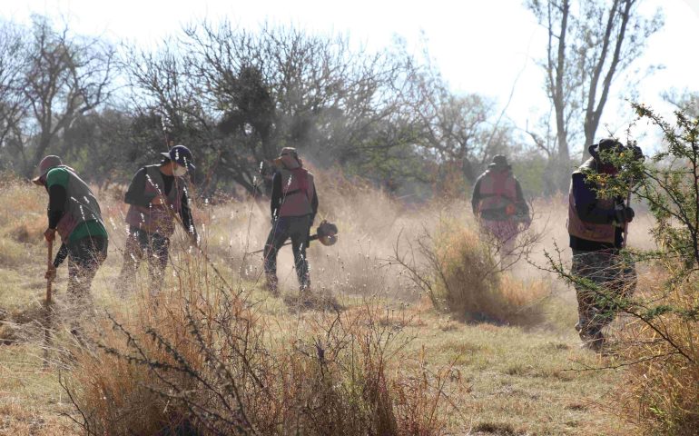 FORTALECE MUNICIPIO LABORES DE DESMALEZADO EN EL ÁREA NATURAL PROTEGIDA LA PONA