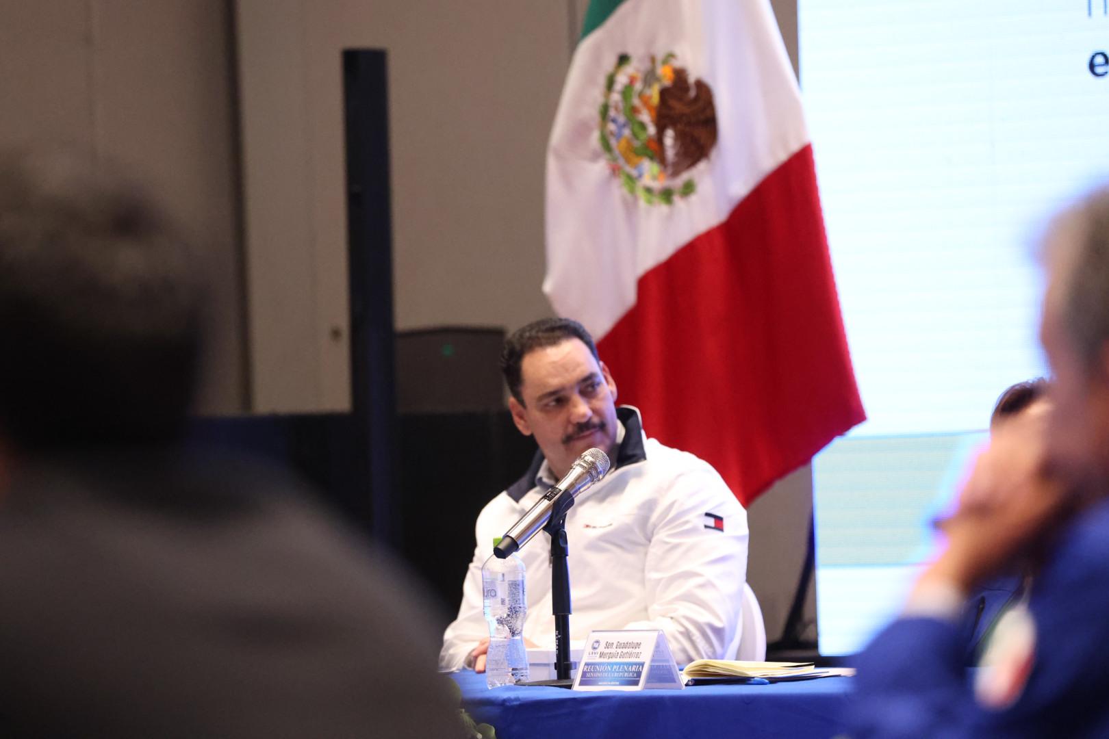 EL PAN DESDE EL SENADO IMPULSARÁ PROPUESTAS PARA MEJORAR LA SEGURIDAD: TOÑO MARTÍN DEL CAMPO