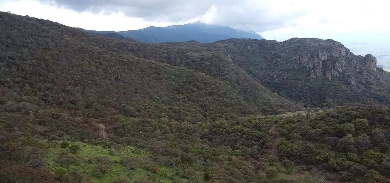 SE FORTALECEN LAS ACCIONES EN LAS SEIS ÁREAS NATURALES PROTEGIDAS DEL ESTADO